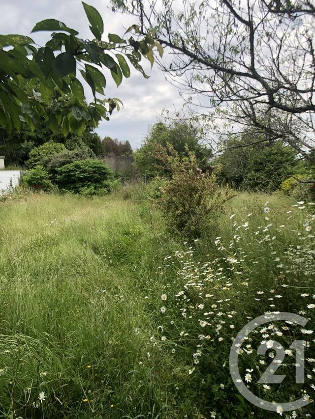 Afficher la photo en grand maison à vendre - 5 pièces - 84.0 m2 - ELLIANT - 29 - BRETAGNE - Century 21 Celtimmo