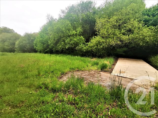 terrain à vendre - 4492.0 m2 - QUIMPER - 29 - BRETAGNE - Century 21 Celtimmo terrain à vendre - 4492.0 m2 - QUIMPER - 29 - BRETAGNE - Century 21 Celtimmo