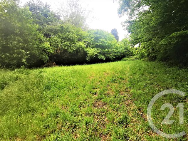 terrain à vendre - 4492.0 m2 - QUIMPER - 29 - BRETAGNE - Century 21 Celtimmo terrain à vendre - 4492.0 m2 - QUIMPER - 29 - BRETAGNE - Century 21 Celtimmo