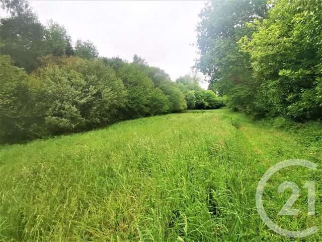 terrain à vendre - 4492.0 m2 - QUIMPER - 29 - BRETAGNE - Century 21 Celtimmo terrain à vendre - 4492.0 m2 - QUIMPER - 29 - BRETAGNE - Century 21 Celtimmo