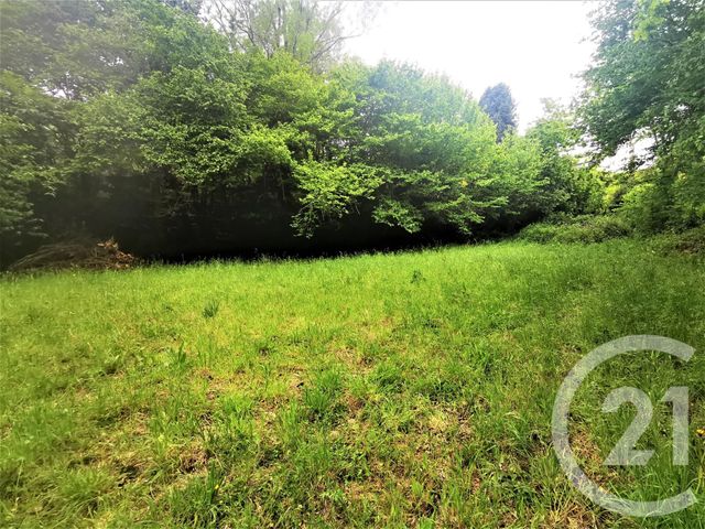 terrain à vendre - 4492.0 m2 - QUIMPER - 29 - BRETAGNE - Century 21 Celtimmo terrain à vendre - 4492.0 m2 - QUIMPER - 29 - BRETAGNE - Century 21 Celtimmo