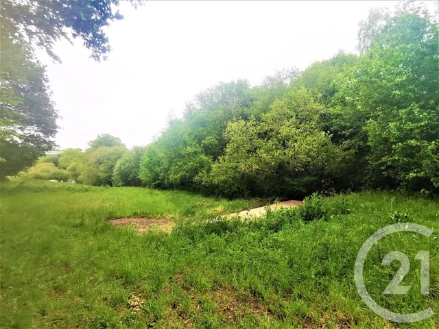 terrain à vendre - 4492.0 m2 - QUIMPER - 29 - BRETAGNE - Century 21 Celtimmo terrain à vendre - 4492.0 m2 - QUIMPER - 29 - BRETAGNE - Century 21 Celtimmo