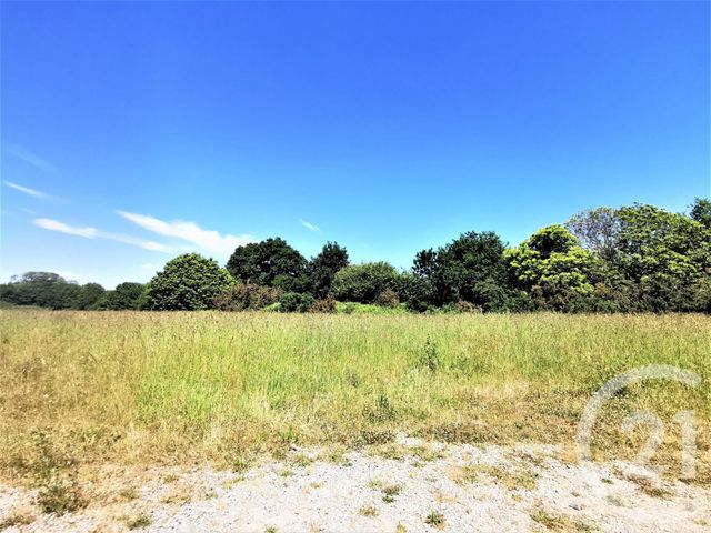 Afficher la photo en grand terrain à vendre - 1116.0 m2 - GOUESNACH - 29 - BRETAGNE - Century 21 Celtimmo