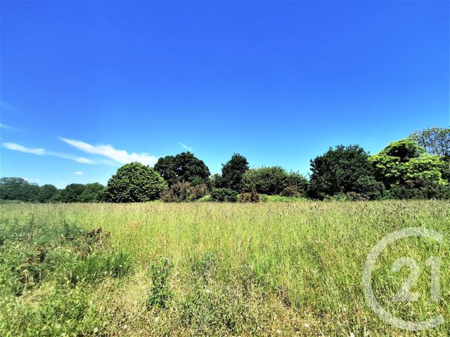 Afficher la photo en grand terrain à vendre - 1116.0 m2 - GOUESNACH - 29 - BRETAGNE - Century 21 Celtimmo