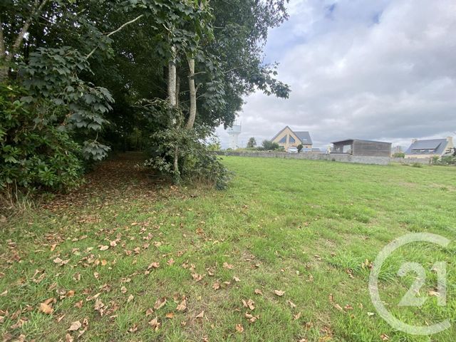 terrain à vendre - 7338.0 m2 - LANDUDEC - 29 - BRETAGNE - Century 21 Celtimmo