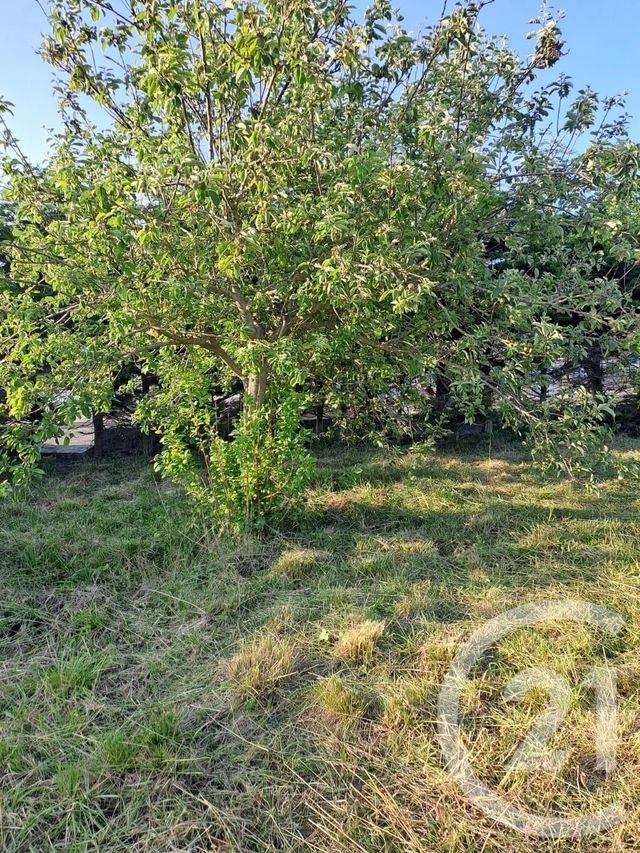 terrain à vendre - 693.0 m2 - GUILVINEC - 29 - BRETAGNE - Century 21 Celtimmo