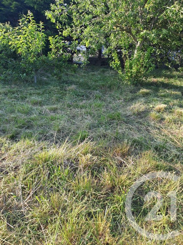 terrain à vendre - 693.0 m2 - GUILVINEC - 29 - BRETAGNE - Century 21 Celtimmo