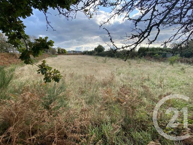 terrain à vendre - 3290.0 m2 - PLOUHINEC - 29 - BRETAGNE - Century 21 Celtimmo terrain à vendre - 3290.0 m2 - PLOUHINEC - 29 - BRETAGNE - Century 21 Celtimmo