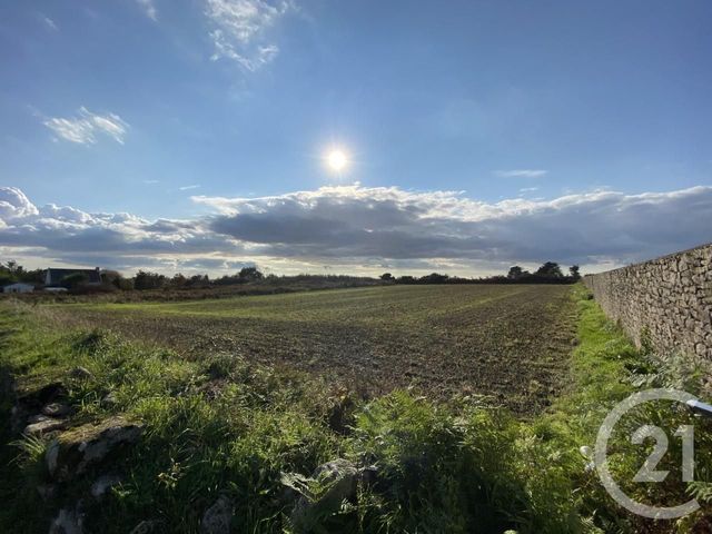 terrain à vendre - 5170.0 m2 - PLOUHINEC - 29 - BRETAGNE - Century 21 Celtimmo terrain à vendre - 5170.0 m2 - PLOUHINEC - 29 - BRETAGNE - Century 21 Celtimmo